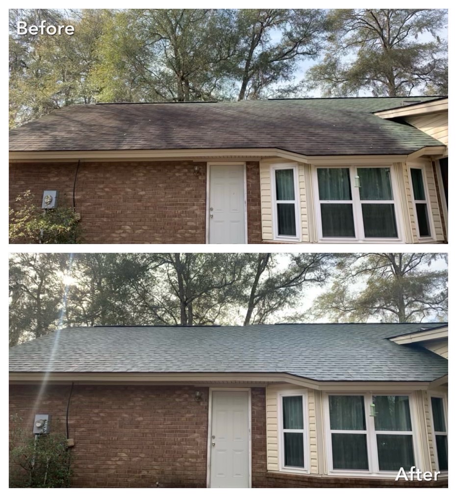 Roof Cleaning in Red Bay, AL